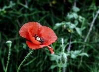 Καιρός (23/12/18): Η πρόγνωση για την Κυριακή 23 Δεκεμβρίου 2018