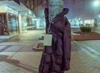 Στη Λάρισα ντύνουν τα δέντρα με μπουφάν (pics)
