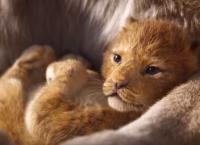 Το Lion King επιστρέφει και το πρώτο teaser του το είδαν 9 εκατομμύρια άνθρωποι σε μια μέρα (vid)