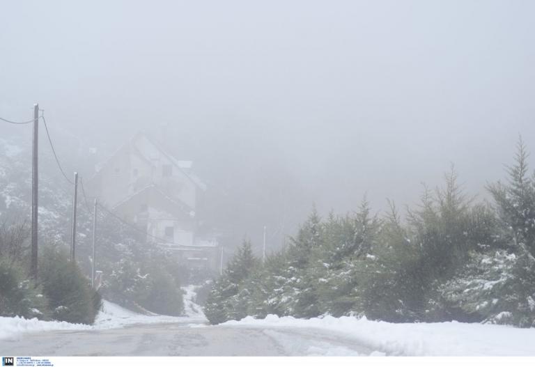 Χιόνια στην Πάρνηθα: Ισχυρή χιονόπτωση από το πρωί – Δείτε το “λευκό” τοπίο