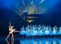 Λίμνη των Κύκνων: Μία επιπλέον παράσταση την Πέμπτη 27 Δεκεμβρίου