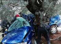 Οικογενειακή τραγωδία στην Αργολίδα: Ένας νεκρός και δυο τραυματίες (pics)