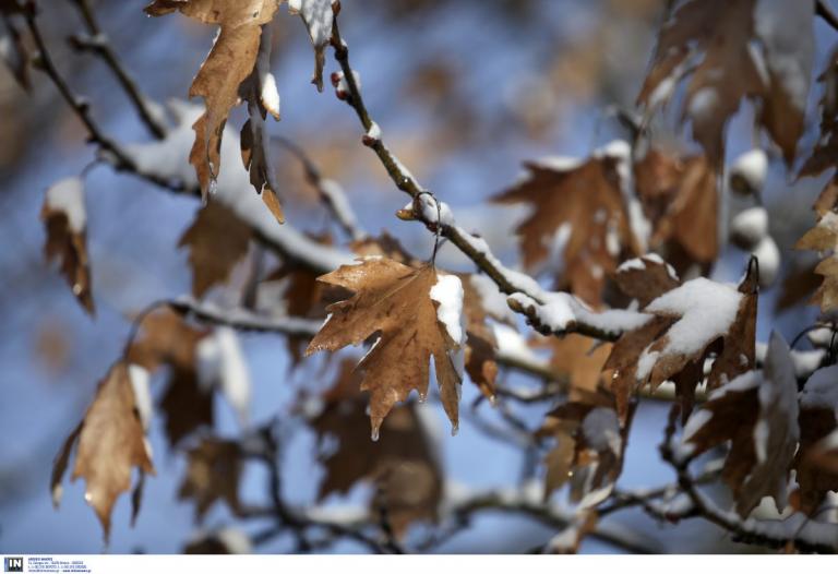 Καιρός (30/12/18): Η πρόγνωση για την Κυριακή 30 Δεκεμβρίου 2018