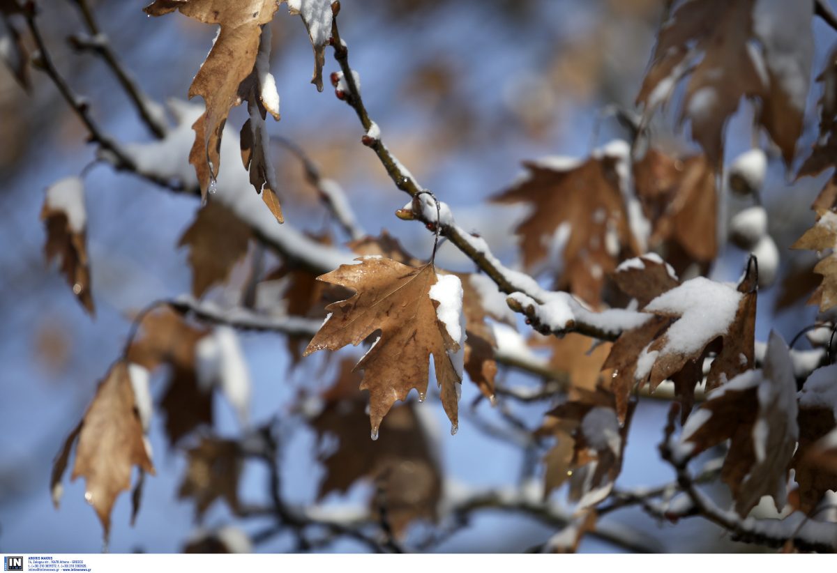 Καιρός (30/12/18): Η πρόγνωση για την Κυριακή 30 Δεκεμβρίου 2018