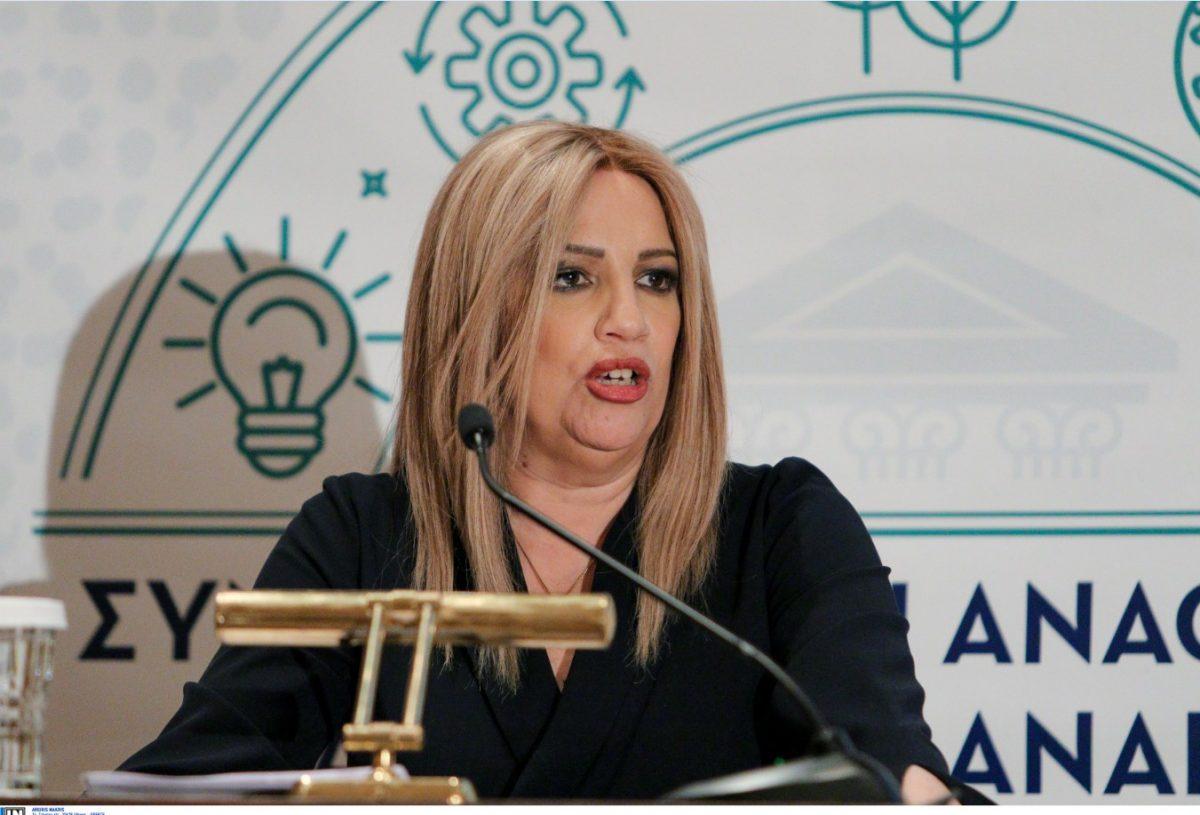 Γεννηματά από Βοιωτία: Είμαστε ο μόνος δρόμος για πολιτική ανατροπή και προοδευτική αλλαγή
