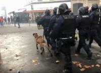 Κίτρινα γιλέκα: Περισσότεροι από 100 τραυματίες διακομίστηκαν σε νοσοκομεία του Παρισιού