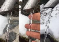 Όταν η φύση μας ξεγελάει: Η οφθαλμαπάτη που έχει τρελάνει το διαδίκτυο [vid]