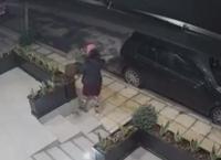 Ηράκλειο: Κάλυψε το κεφάλι της με μαντίλα και… “ξεπάτωσε” τα λουλούδια (vid)