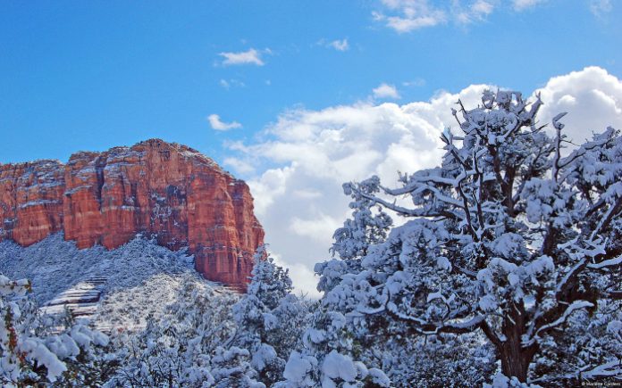 Αριζόνα: Χιόνισε μέχρι και στην έρημο! (vid)
