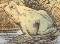 Η οφθαλμαπάτη που θα σας πάρει το μυαλό! (pics)