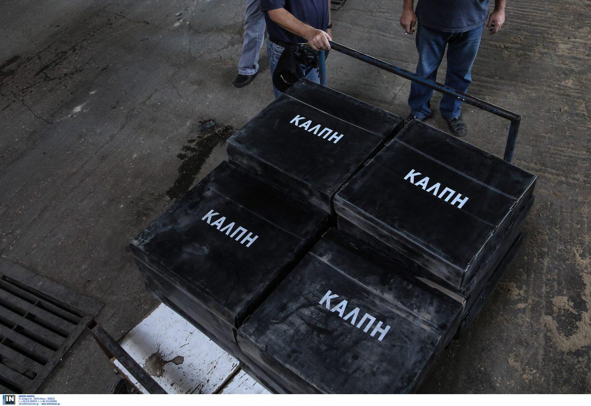 Εκλογές 2019: Ποιοι έχουν δικαίωμα ψήφου – Πώς ψηφίζουν οι εκλογείς