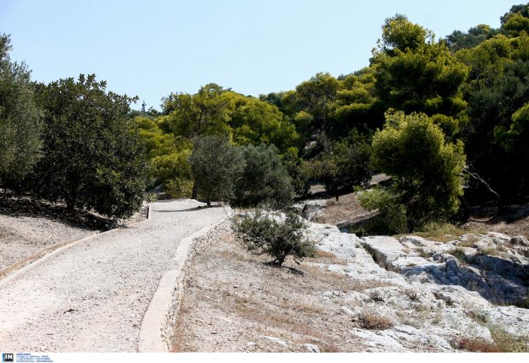 Έγκλημα στου Φιλοπάππου: “Οι δολοφόνοι του παιδιού μου σε λίγο καιρό θα είναι έξω”