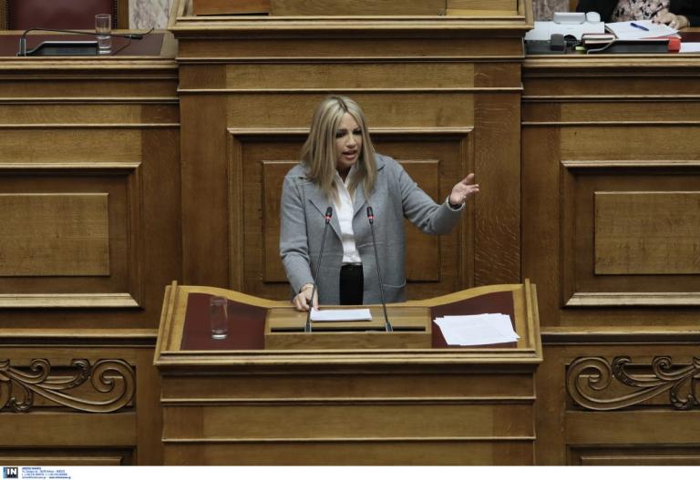 Ψήφος εμπιστοσύνης: Η ομιλία της Φώφης Γεννηματά (vid)