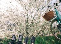 Καρδίτσα όπως… Άμστερνταμ