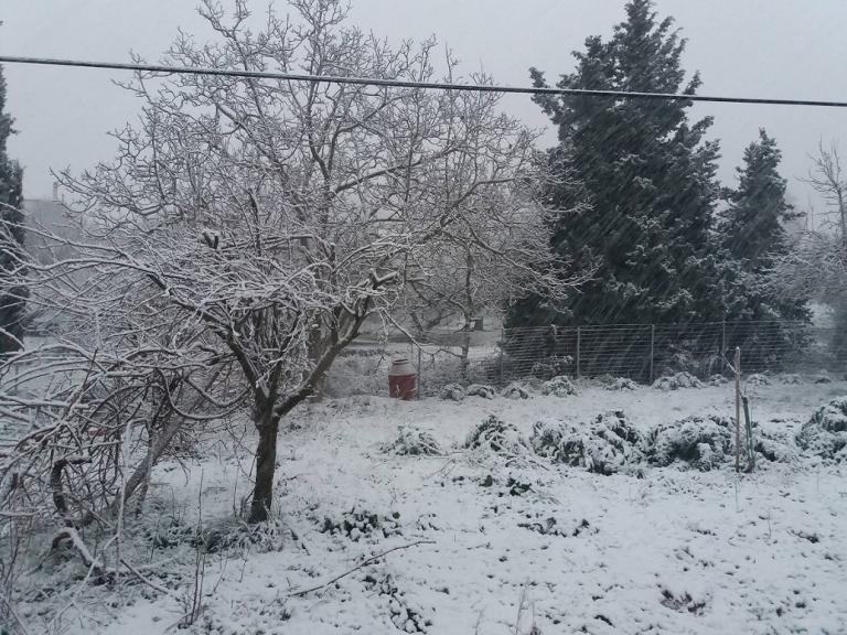 Κέρκυρα κακοκαιρία: Χιόνια και χαλαζόπτωση σε όλο το νησί (pics)