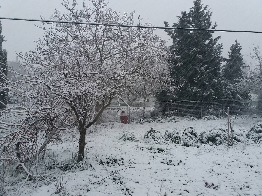 Κέρκυρα κακοκαιρία: Χιόνια και χαλαζόπτωση σε όλο το νησί (pics)