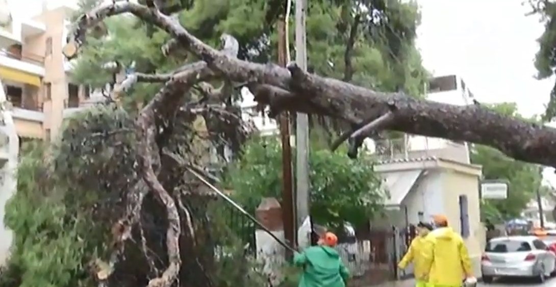 Πτώση δέντρου στην Αγία Παρασκευή (pic)