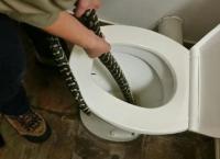 Πύθωνας αναδύθηκε από την τουαλέτα και δάγκωσε γυναίκα – Που έγινε αυτό