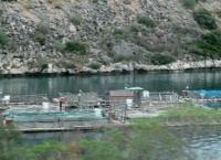 Σαλαμίνα: Απορρίφθηκε η μετατόπιση και επέκταση της ιχθυοκαλλιέργειας του όρμου «Βαθύ»