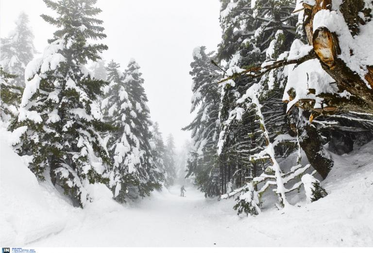 Πρόγνωση καιρού: Έρχεται πολικό ψύχος διαρκείας – Που θα χιονίσει