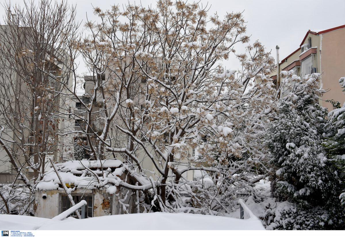 Καιρός (14/1/19): Η πρόγνωση για την Δευτέρα 14 Ιανουαρίου 2019