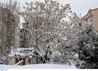 Καιρός (14/1/19): Η πρόγνωση για την Δευτέρα 14 Ιανουαρίου 2019