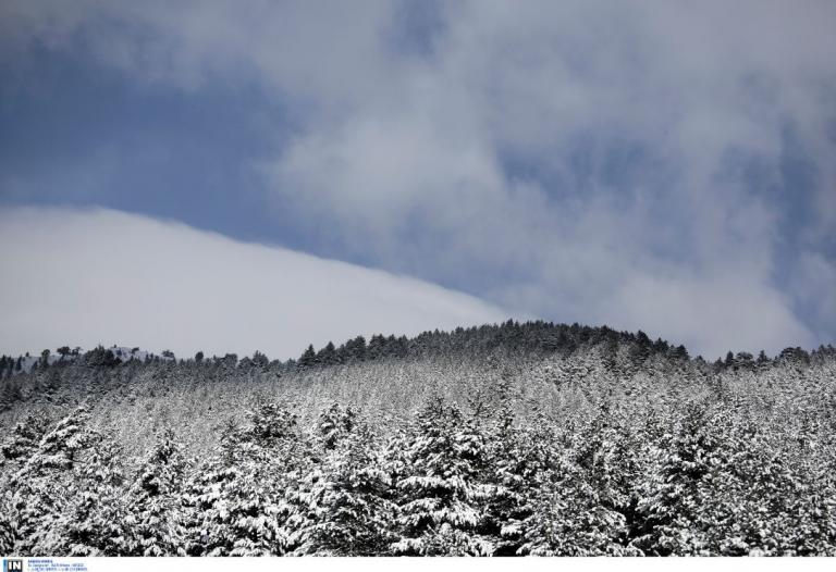Καιρός (8/1/19): Η πρόγνωση για την Τρίτη 8 Ιανουαρίου 2019