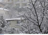 Κακοκαιρία “Τηλέμαχος”: Έχει πλήξει και τη Σκόπελο – Χωρίς ρεύμα μεγάλο μέρος του νησιού