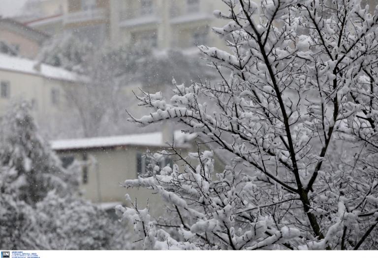 Κακοκαιρία “Τηλέμαχος”: Έχει πλήξει και τη Σκόπελο – Χωρίς ρεύμα μεγάλο μέρος του νησιού
