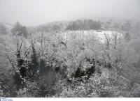 Εύβοια χιόνια: Προβλήματα στην περιοχή – Στο “σκοτάδι” αρκετά χωριά (pics)