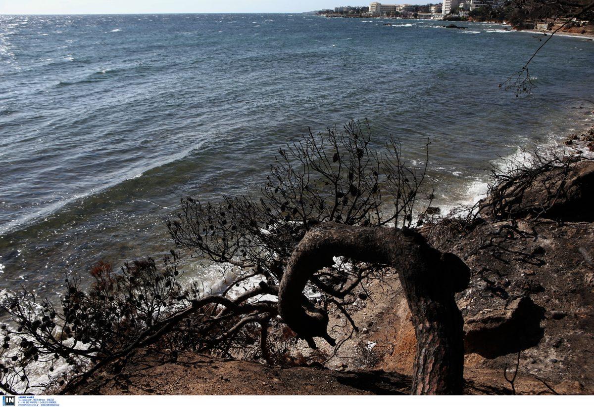 Φωτιά Μάτι πόρισμα: Η έκθεση για τη φονική πυρκαγιά – Οι ανεπάρκειες του Κράτους (pdf)