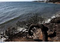 Φωτιά Μάτι πόρισμα: Η έκθεση για τη φονική πυρκαγιά – Οι ανεπάρκειες του Κράτους (pdf)