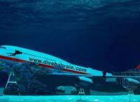 Θαλάσσιο πάρκο φιλοξενεί ένα πραγματικό Boeing στο βυθό του