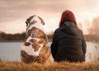 Σκύλοι βοηθοί: Στο πλευρό των ατόμων με άνοια ή Alzheimer