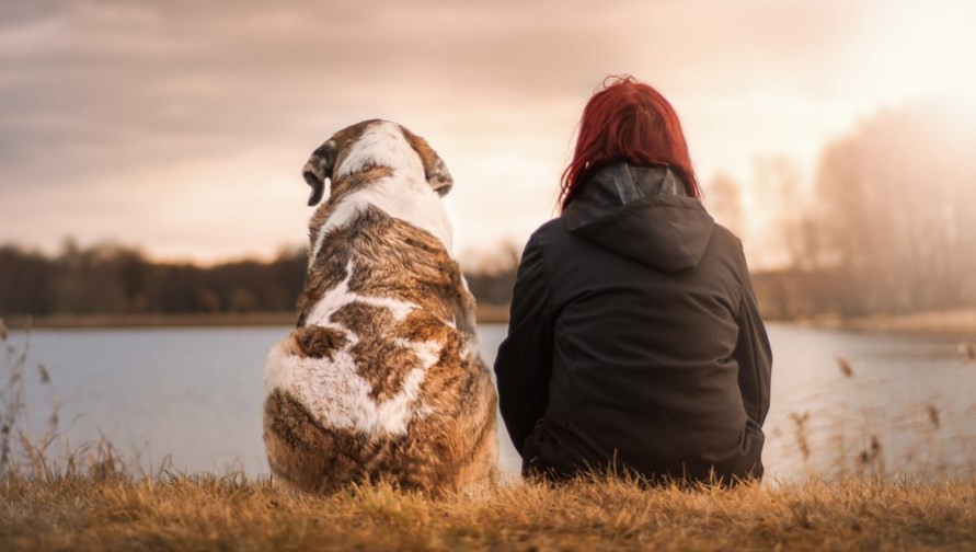 Σκύλοι βοηθοί: Στο πλευρό των ατόμων με άνοια ή Alzheimer