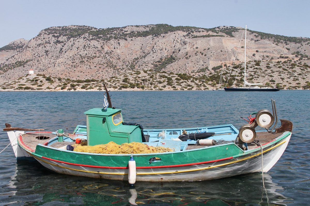 Νάξος: Η ψαριά ζύγιζε πάνω από 300 κιλά – Xρειάστηκε γερανός (pics&vid)