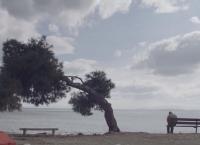 Γιώργος Λάνθιμος γράμμα: Μια κίνηση αγάπης προς τον κινηματογράφο (vid)