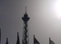 International Green Week Berlin 2019: Η Ελλάδα παίρνει μέρος με 4 εταιρίες