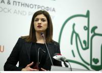 Νοτοπούλου: “Δεν φοβάμαι το πολιτικό κόστος”