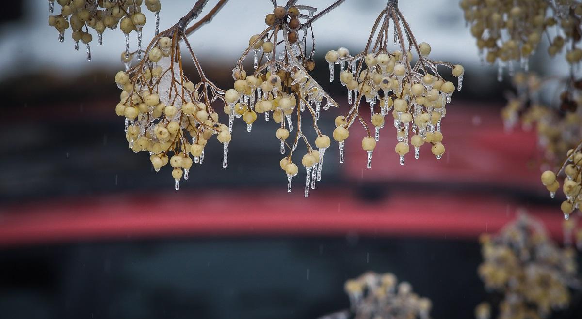 Καιρός (15/2/19): Η πρόγνωση της ΕΜΥ για την Παρασκευή 15 Φεβρουαρίου 2019