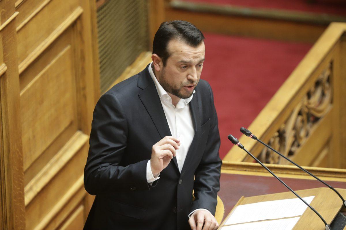 Νίκος Παππάς: “Η βιώσιμη ανάπτυξη θέλει σχέδιο”