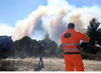 Φωτιά τώρα: Δασική πυρκαγιά κοντά στο χωριό Κερί στη Ζάκυνθο
