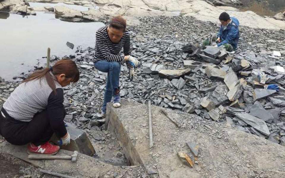 Ανακαλύφθηκαν στην Κίνα πολλά απολιθώματα ζώων