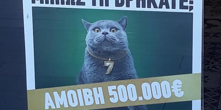 ΟΠΑΠ: Κυνήγι σε όλη την Ελλάδα για μία γάτα με αμοιβή 500.000 ευρώ