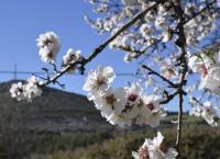 Εαρινή ισημερία: Ποιο σπάνιο φαινόμενο συμβαίνει σήμερα