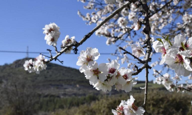 Εαρινή ισημερία: Ποιο σπάνιο φαινόμενο συμβαίνει σήμερα