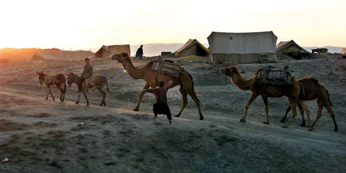 Καθαρά Δευτέρα: Το έθιμο της Καμήλας στα Χανιά