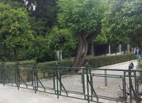 Γιώργος Μαγγίνης: Θύμα ξυλοδαρμού ο επιστημονικός διευθυντής του Μουσείου Μπενάκη