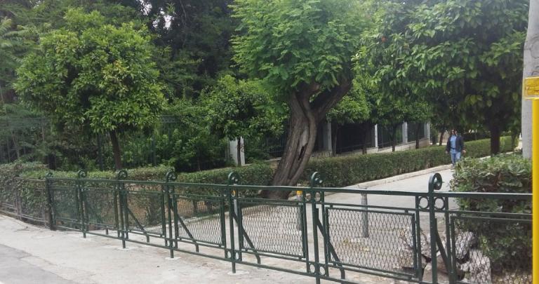 Γιώργος Μαγγίνης: Θύμα ξυλοδαρμού ο επιστημονικός διευθυντής του Μουσείου Μπενάκη