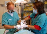 Χρόνια περιοδοντίτιδα: Ελαφρώς αυξημένος ο κίνδυνος άνοιας για όσους πάσχουν από αυτήν